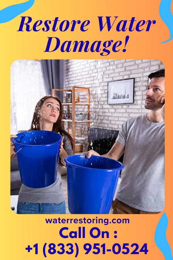 water restoration Total Disaster Recovery LLC Hammond