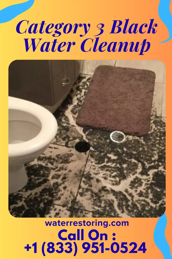 Category 3 Black Water Cleanup in Hammond, MN