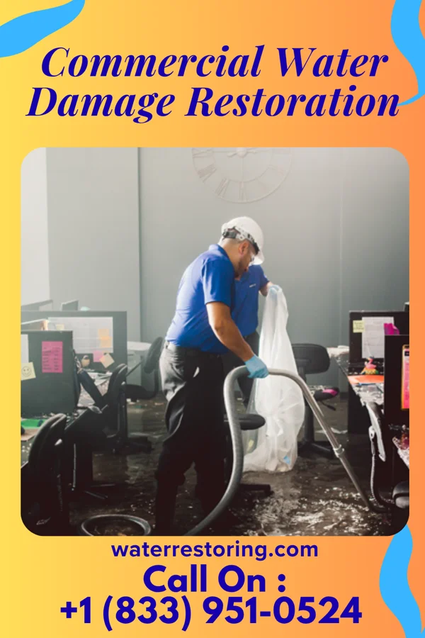 Commercial Water Damage Restoration in Hammond, MN