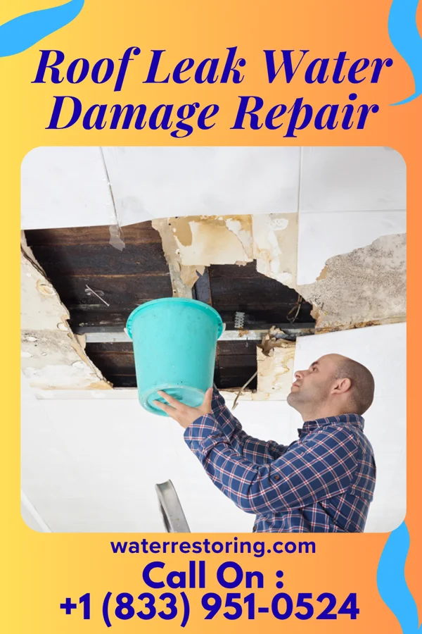 Roof Leak Water Damage Repair in Hammond, MN